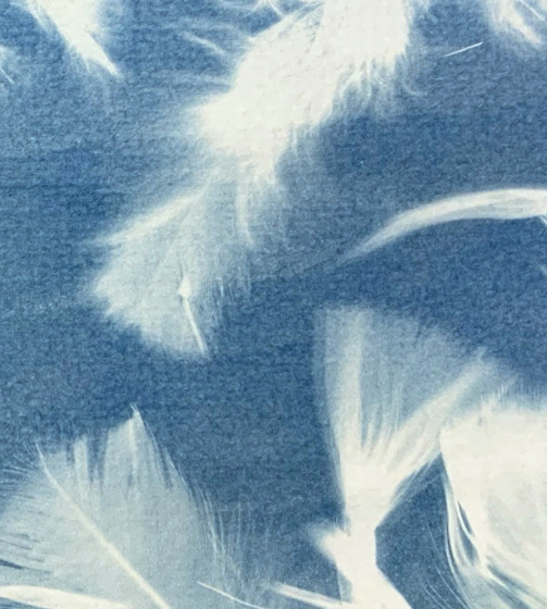 Master Class: Cyanotype Prints with Tyrus Clutter